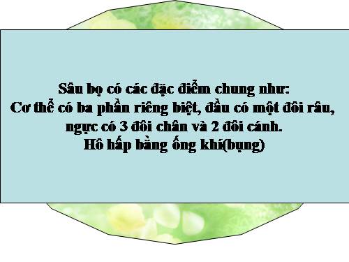 Bài 29. Đặc điểm chung và vai trò của ngành Chân khớp