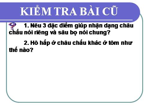 Bài 27. Đa dạng và đặc điểm chung của lớp Sâu bọ