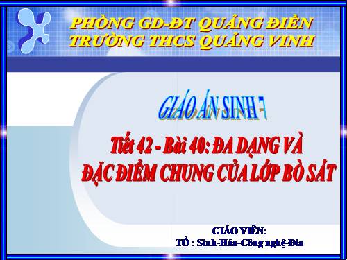 Bài 40. Đa dạng và đặc điểm chung của lớp Bò sát