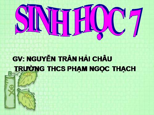 Bài 29. Đặc điểm chung và vai trò của ngành Chân khớp