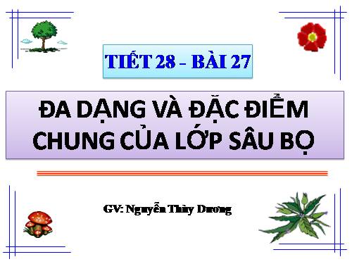 Bài 27. Đa dạng và đặc điểm chung của lớp Sâu bọ