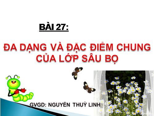 Bài 27. Đa dạng và đặc điểm chung của lớp Sâu bọ