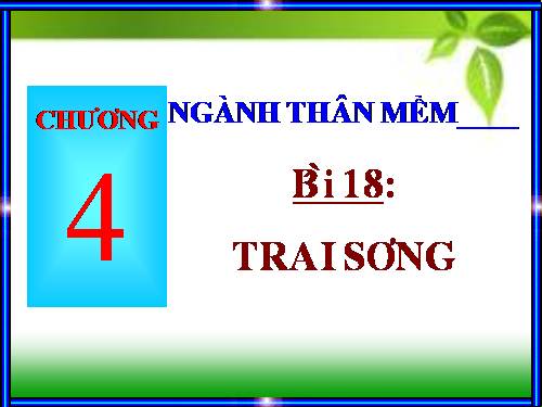 Bài 18. Trai sông