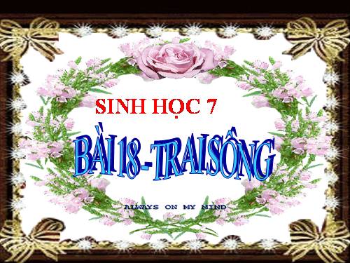 Bài 18. Trai sông