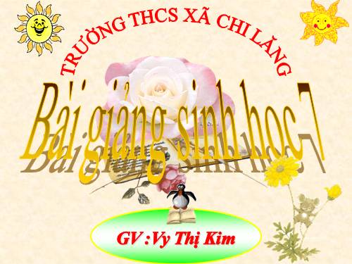 Bài 21. Đặc điểm chung và vai trò của ngành Thân mềm