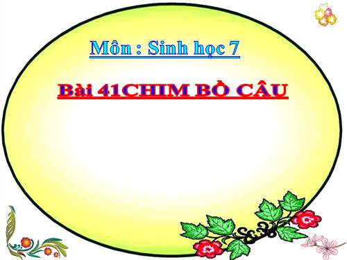 Bài 41. Chim bồ câu