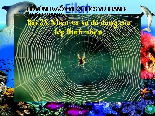 Bài 25. Nhện và sự đa dạng của lớp Hình nhện