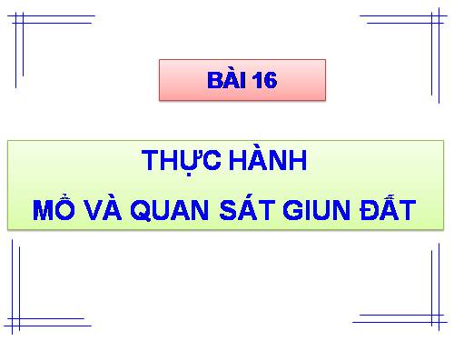 Bài 16. Thực hành: Mổ và quan sát giun đất