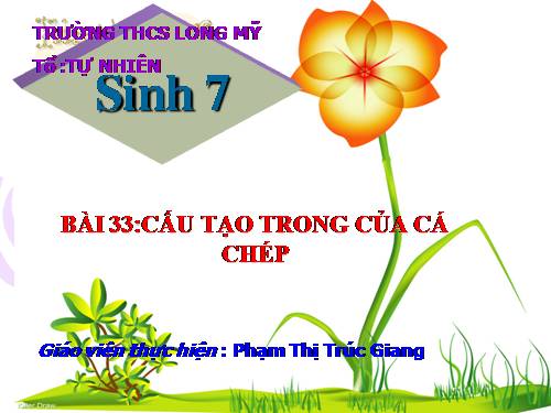 Bài 33. Cấu tạo trong của cá chép