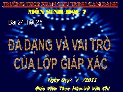 Bài 24. Đa dạng và vai trò của lớp Giáp xác