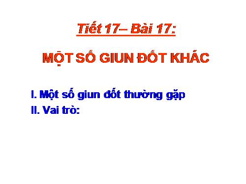 Bài 17. Một số giun đốt khác và đặc điểm chung của ngành Giun đốt