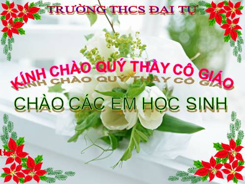 Bài 17. Một số giun đốt khác và đặc điểm chung của ngành Giun đốt