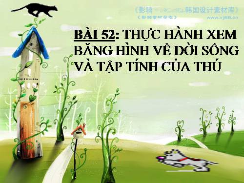 Bài 52. Thực hành: Xem băng hình về đời sống và tập tính của Thú