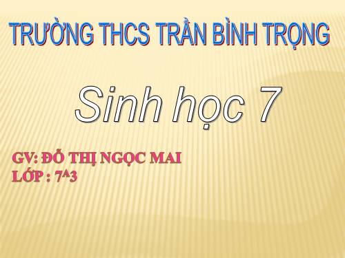 Bài 44. Đa dạng và đặc điểm chung của lớp Chim