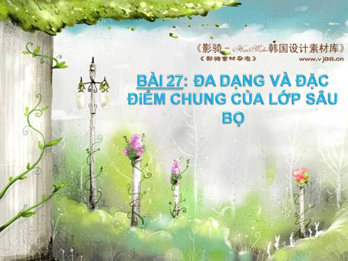 Bài 27. Đa dạng và đặc điểm chung của lớp Sâu bọ