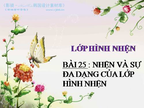 Bài 25. Nhện và sự đa dạng của lớp Hình nhện