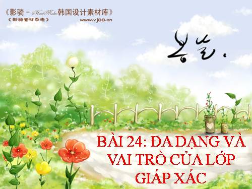 Bài 24. Đa dạng và vai trò của lớp Giáp xác