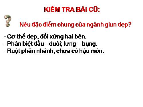 Bài 13. Giun đũa