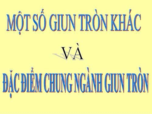 Bài 14. Một số giun tròn khác và đặc điểm chung của ngành Giun tròn