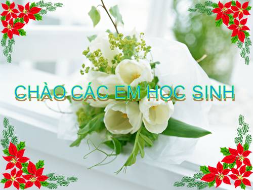 Bài 12. Một số giun dẹp khác và đặc điểm chung của ngành Giun dẹp