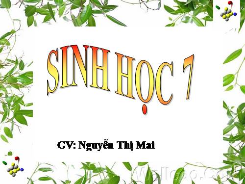 Bài 10. Đặc điểm chung và vai trò của ngành Ruột khoang