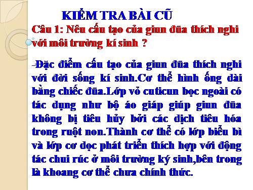 Bài 14. Một số giun tròn khác và đặc điểm chung của ngành Giun tròn