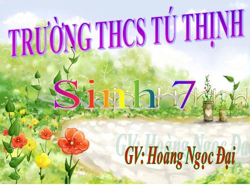 Bài 7. Đặc điểm chung và vai trò thực tiễn của Động vật nguyên sinh