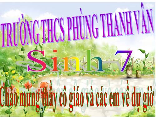 Bài 7. Đặc điểm chung và vai trò thực tiễn của Động vật nguyên sinh