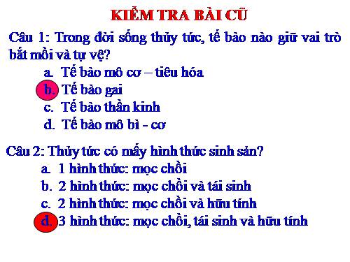 Bài 9. Đa dạng của ngành Ruột khoang