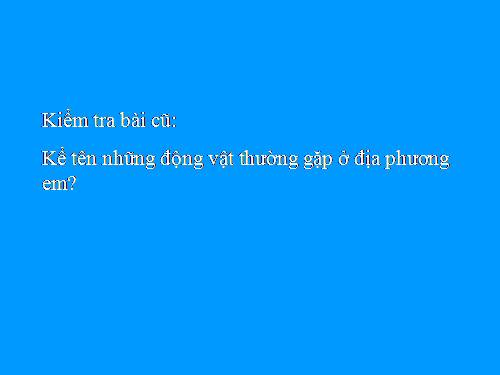 Bài 2. Phân biệt động vật với thực vật. Đặc điểm chung của động vật