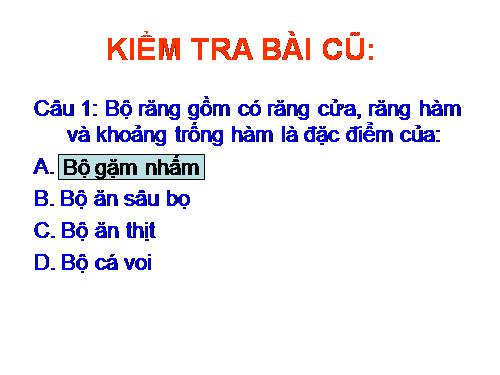 Bài 51. Đa dạng của lớp Thú: Các bộ Móng guốc và bộ Linh trưởng