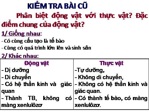 Bài 3. Thực hành: Quan sát một số động vật nguyên sinh