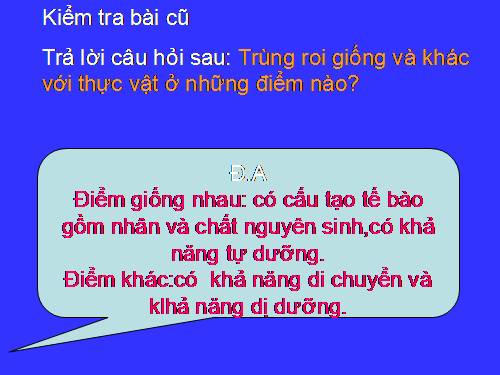 Bài 5. Trùng biến hình và trùng giày