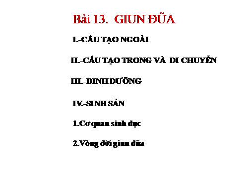 Bài 13. Giun đũa