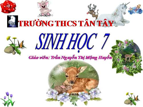 Bài 51. Đa dạng của lớp Thú: Các bộ Móng guốc và bộ Linh trưởng