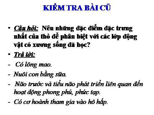 Bài 48. Đa dạng của lớp Thú: Bộ Thú huyệt, bộ Thú túi