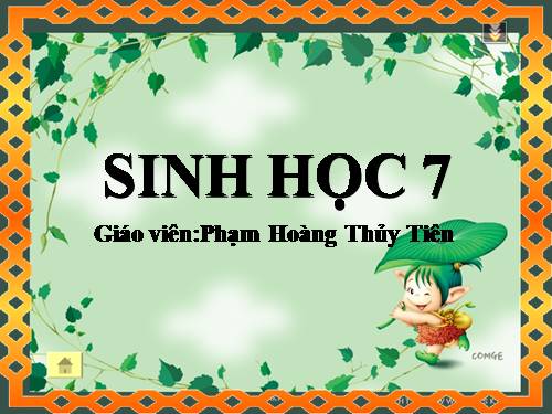 Bài 40. Đa dạng và đặc điểm chung của lớp Bò sát