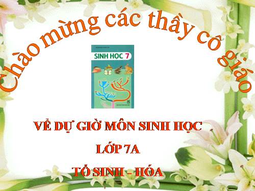 Bài 60. Động vật quý hiếm