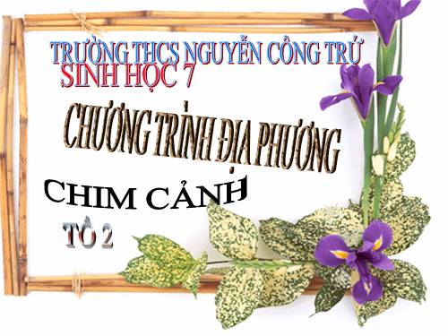 Chương trình địa phương tìm hiểu về chim cảnh