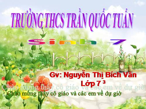 Bài 7. Đặc điểm chung và vai trò thực tiễn của Động vật nguyên sinh