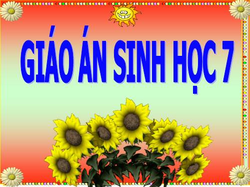 Bài 58. Đa dạng sinh học (tiếp theo)