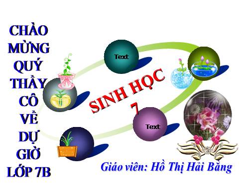 Bài 33. Cấu tạo trong của cá chép