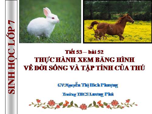 Bài 52. Thực hành: Xem băng hình về đời sống và tập tính của Thú