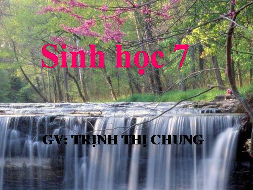 Bài 34. Đa dạng và đặc điểm chung của các lớp Cá