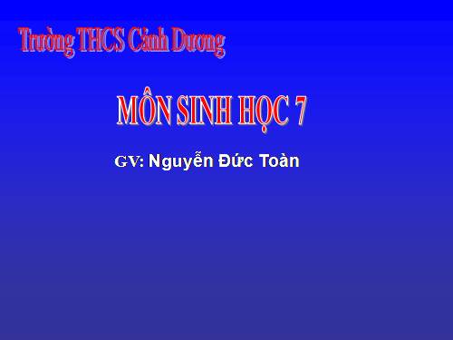 Bài 57. Đa dạng sinh học