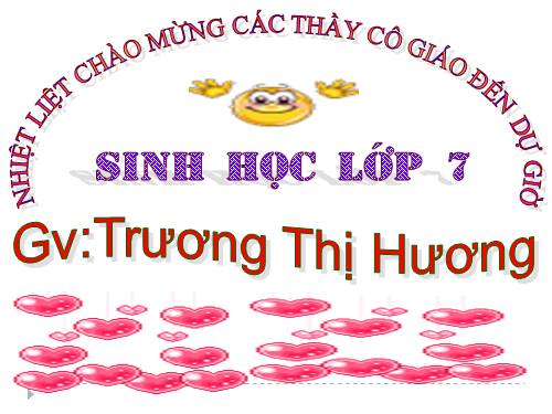 Bài 29. Đặc điểm chung và vai trò của ngành Chân khớp