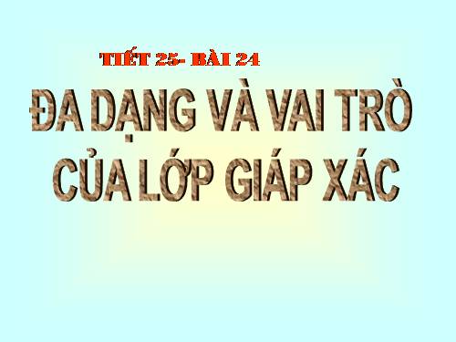 Bài 24. Đa dạng và vai trò của lớp Giáp xác