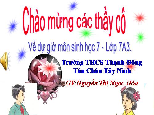 Bài 35. Ếch đồng