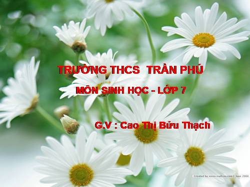 Bài 46. Thỏ