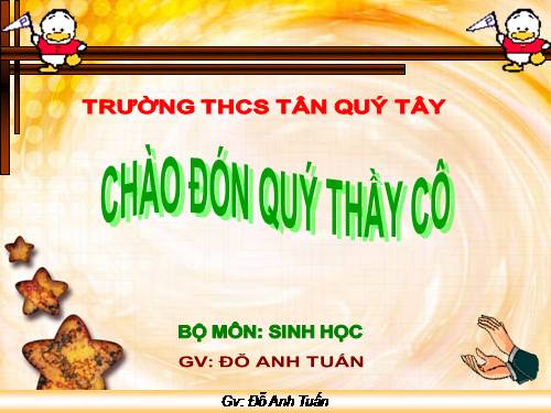 Bài 41. Chim bồ câu